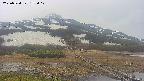 area1-20250524172018.jpg