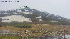 area1-20250526141019.jpg