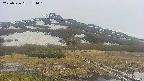 area1-20250526154019.jpg