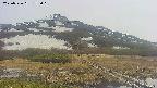 area1-20250526155019.jpg