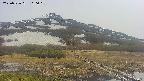 area1-20250526160016.jpg