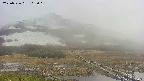 area1-20250526162016.jpg
