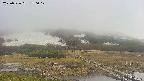 area1-20250526170018.jpg