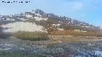 area1-20250527050018.jpg