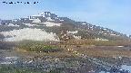 area1-20250527053018.jpg