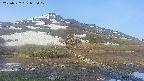 area1-20250527055017.jpg