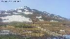 area1-20250527064019.jpg