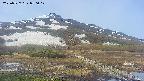 area1-20250527070018.jpg