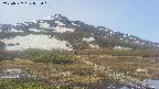 area1-20250527072017.jpg