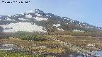 area1-20250527074016.jpg