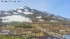 area1-20250527075019.jpg
