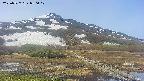area1-20250527080018.jpg