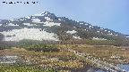 area1-20250527090019.jpg