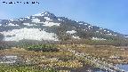 area1-20250527091018.jpg