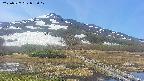 area1-20250527092018.jpg