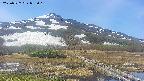 area1-20250527093017.jpg