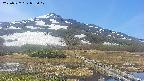 area1-20250527095018.jpg