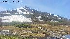 area1-20250527100017.jpg