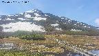area1-20250527101021.jpg