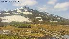area1-20250527105019.jpg
