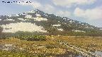 area1-20250527112018.jpg