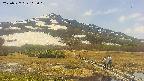 area1-20250527113018.jpg