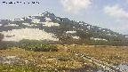 area1-20250527120018.jpg
