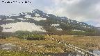area1-20250527124018.jpg