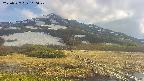 area1-20250527160021.jpg