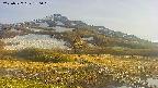 area1-20250527180018.jpg