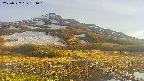 area1-20250527181019.jpg