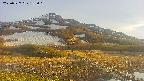 area1-20250527182019.jpg