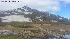 area1-20250528063018.jpg