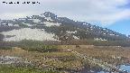 area1-20250528064018.jpg