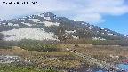 area1-20250528070018.jpg