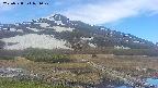 area1-20250528071021.jpg