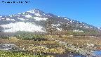 area1-20250528080020.jpg