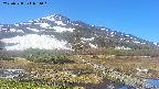 area1-20250528081017.jpg