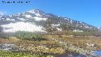 area1-20250528082019.jpg