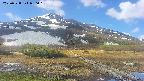 area1-20250528090019.jpg