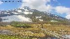area1-20250528100018.jpg