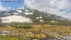 area1-20250528102020.jpg