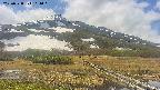 area1-20250528111019.jpg
