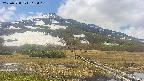 area1-20250528112017.jpg