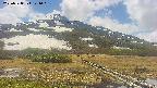 area1-20250528121017.jpg