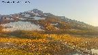 area1-20250528182018.jpg
