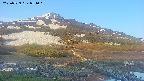 area1-20250529051018.jpg