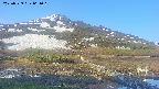 area1-20250529061019.jpg