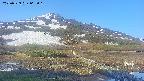 area1-20250529062019.jpg