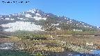 area1-20250529065020.jpg
